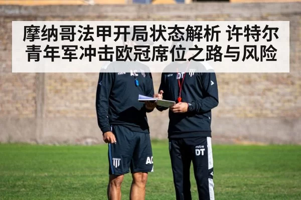 football coach tactics board